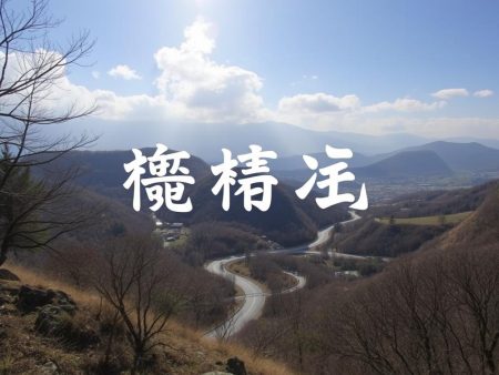 雪園足球比賽：全方位報導