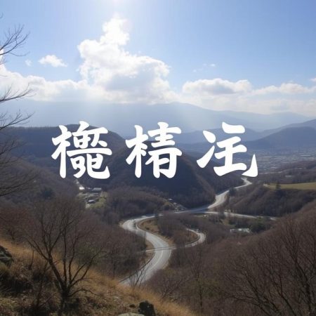 雪園足球比賽：全方位報導