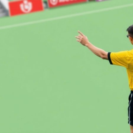 香港足球聯賽裁判制度分析