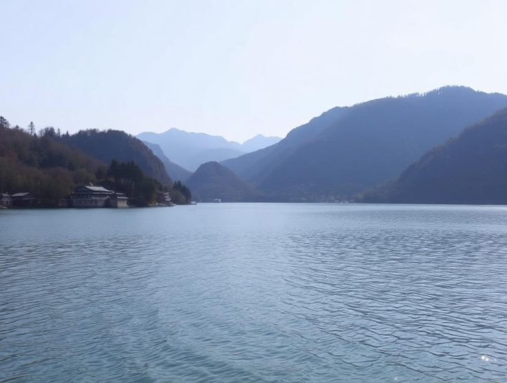 如何運用人肉搜索戰術進行進攻？