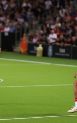 球隊新晉球員表現如何？