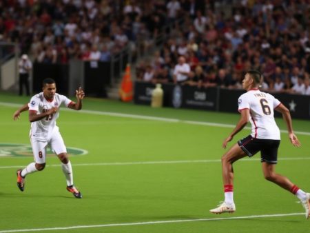 球隊新晉球員表現如何？